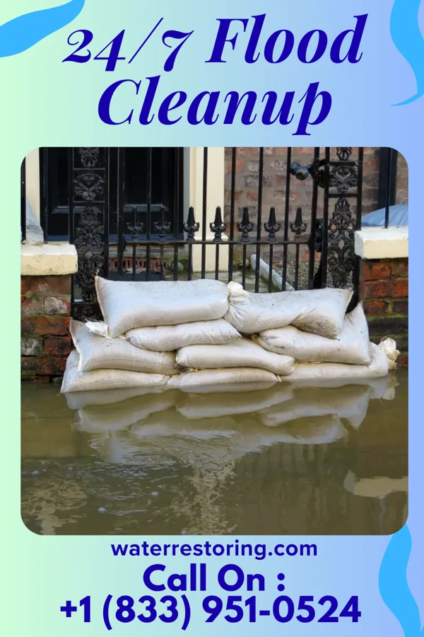 24/7 Flood Cleanup in Cerro Gordo, IL