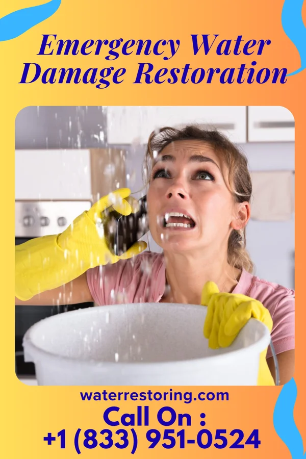 Emergency Water Damage Restoration in Cerro Gordo, IL